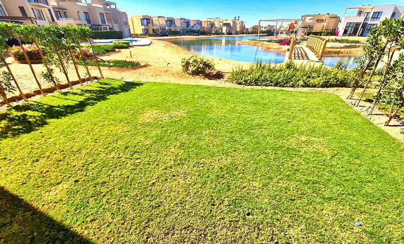Red Sea coast beauty Egyptian sunny destination